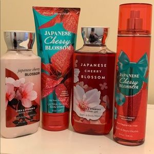 Japanese Cherry Blossom